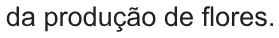 Alternativa A da questão 127 do ENEM 2021 - 2º Dia – Caderno 7 – Azul – Aplicação Regular.