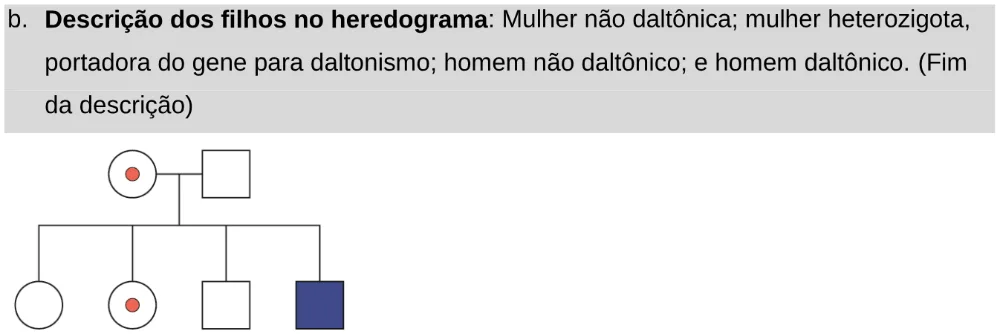 Alternativa B da questão 93 do ENEM 2024 - 2º Dia – Caderno 11 – Laranja (braile e ledor) – Aplicação Regular - Leitor de tela (NVDA).