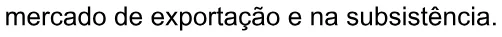 Alternativa A da questão 87 do ENEM 2020 - 1º Dia - Caderno 3 – Branco – Inglês – Aplicação digital.