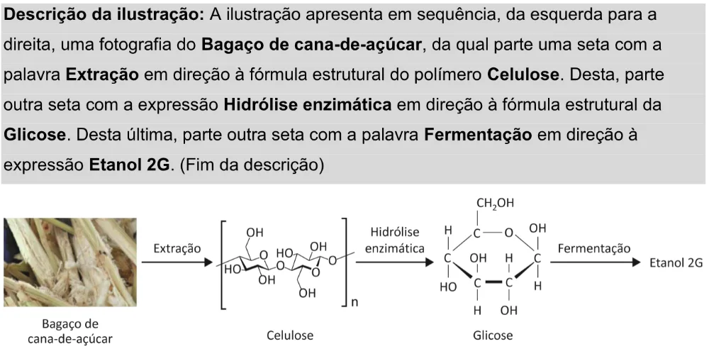 Trecho original com figura, tabela ou fórmula da questão 101 do ENEM 2025 - 2º Dia – Caderno 11 – Laranja (Braile e ledor) – Aplicação Regular - Leitor de tela (NVDA) - Belém, Ananindeua e Marituba.