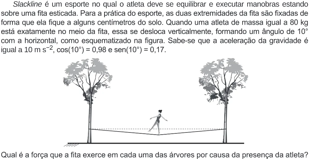 Trecho original com figura, tabela ou fórmula da questão 116 do ENEM 2019 - 2º Dia – Caderno 6 – Cinza (Ampliada) – Aplicação Regular.