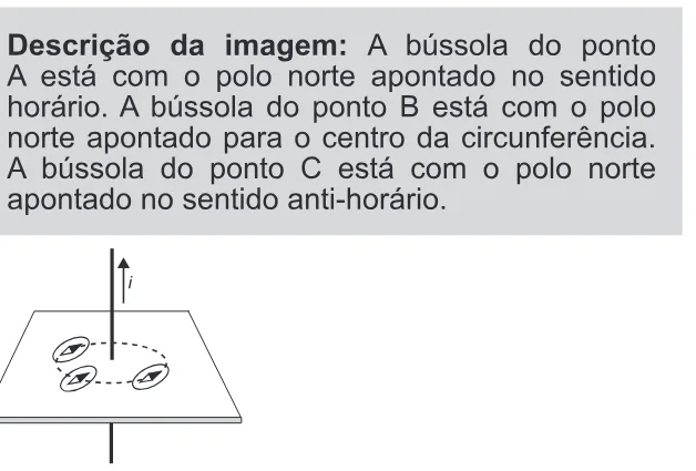 Alternativa C da questão 131 do ENEM 2022 - 2º Dia – Caderno 11 – Laranja (braile e ledor) – Aplicação Regular.