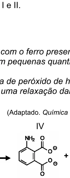 Alternativa D da questão 16 do ENEM 2005 - Caderno Amarelo.