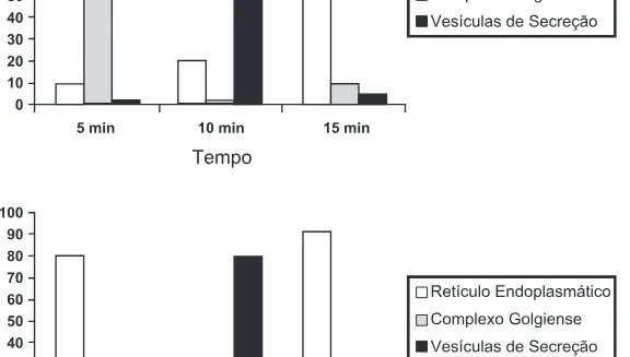 Alternativa D da questão 76 do ENEM 2015 - 1º Dia - Caderno 2 - Amarelo – Aplicação regular.