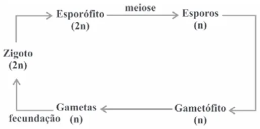 Alternativa A da questão 20 do ENEM 2009 - 1º Dia - Caderno 3 - Branco.