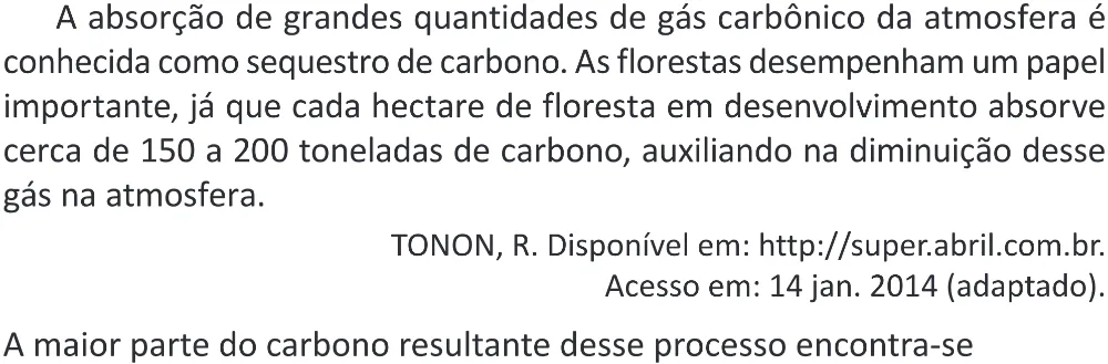 Trecho original com figura, tabela ou fórmula da questão 116 do ENEM 2025 - 2º Dia – Caderno 11 – Laranja (Braile e ledor) – Aplicação Regular - (Superampliada) - Belém, Ananindeua e Marituba.