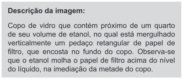 Trecho original com figura, tabela ou fórmula da questão 93 do ENEM 2019 - 2º Dia – Caderno 11 – Laranja (Braile e Ledor) – Aplicação Regular.