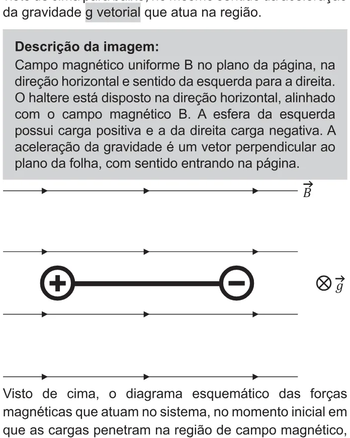 Trecho original com figura, tabela ou fórmula da questão 121 do ENEM 2021 - 2º Dia – Caderno 11 – Laranja (braile e ledor) – Aplicação Regular.