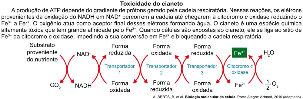 Trecho original com figura, tabela ou fórmula da questão 122 do ENEM 2023 - 2º Dia – Caderno 5 – Amarelo – Aplicação Regular.