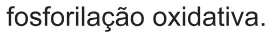 Alternativa E da questão 119 do ENEM 2021 - 2º Dia – Caderno 6 – Cinza – Aplicação Regular.