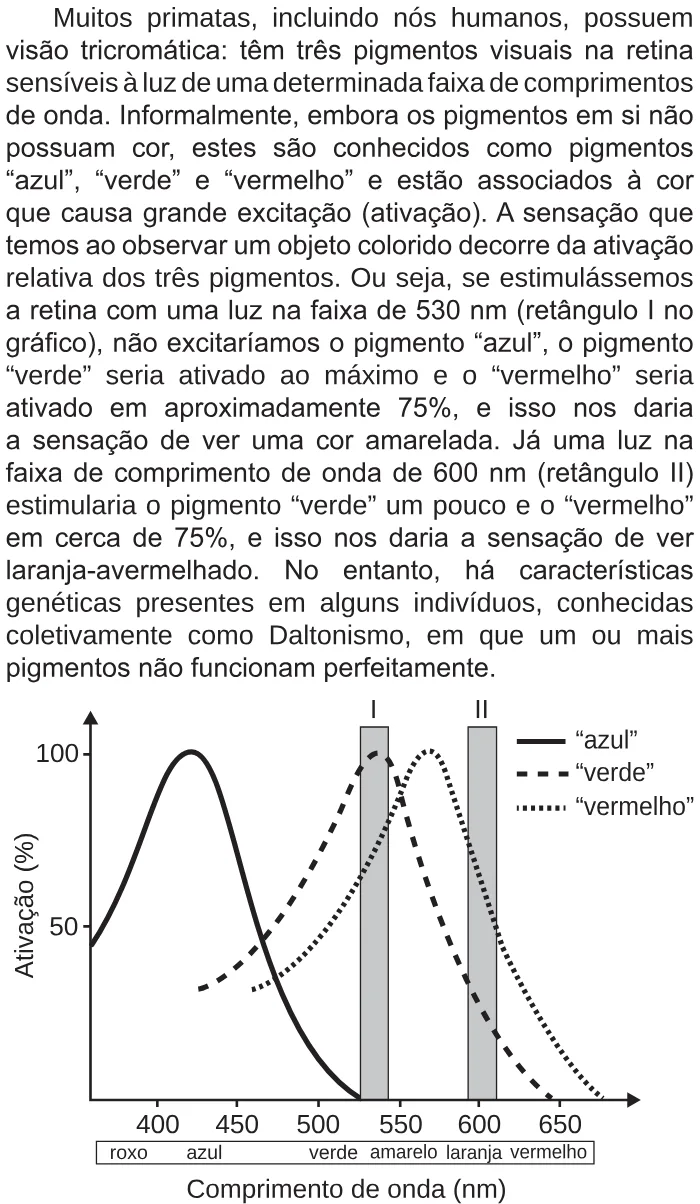Trecho original com figura, tabela ou fórmula da questão 96 do ENEM 2018 - 2º Dia - Caderno 5 - Amarelo – Aplicação regular.