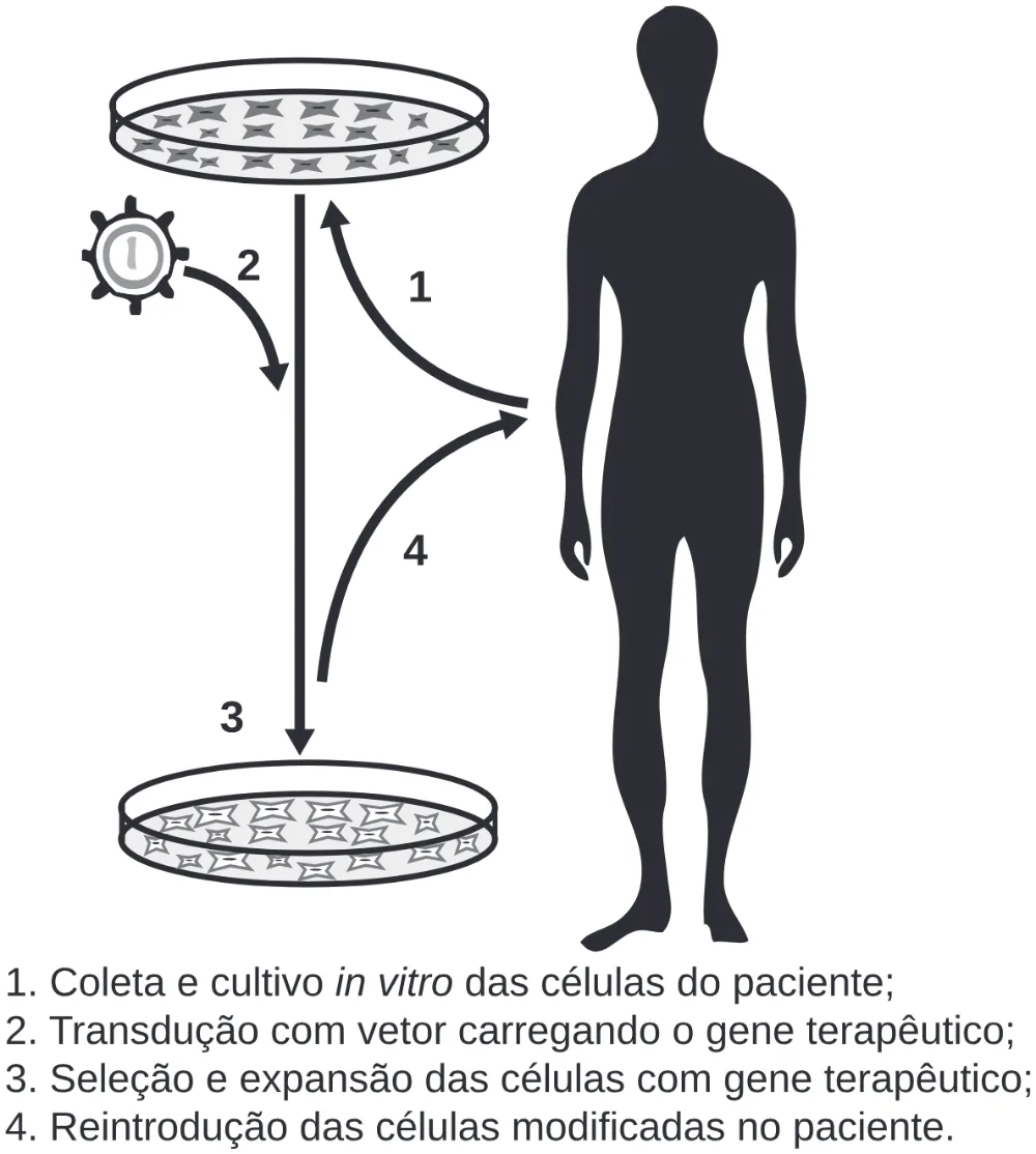 Trecho original com figura, tabela ou fórmula da questão 130 do ENEM 2019 - 2º Dia – Caderno 5 – Amarelo (Ampliada) – Reaplicação/PPL.