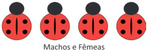 Alternativa C da questão 101 do ENEM 2025 - 2º Dia – Caderno 11 – Laranja (Braile e ledor) – Aplicação Regular - (Atendimento Especializado).