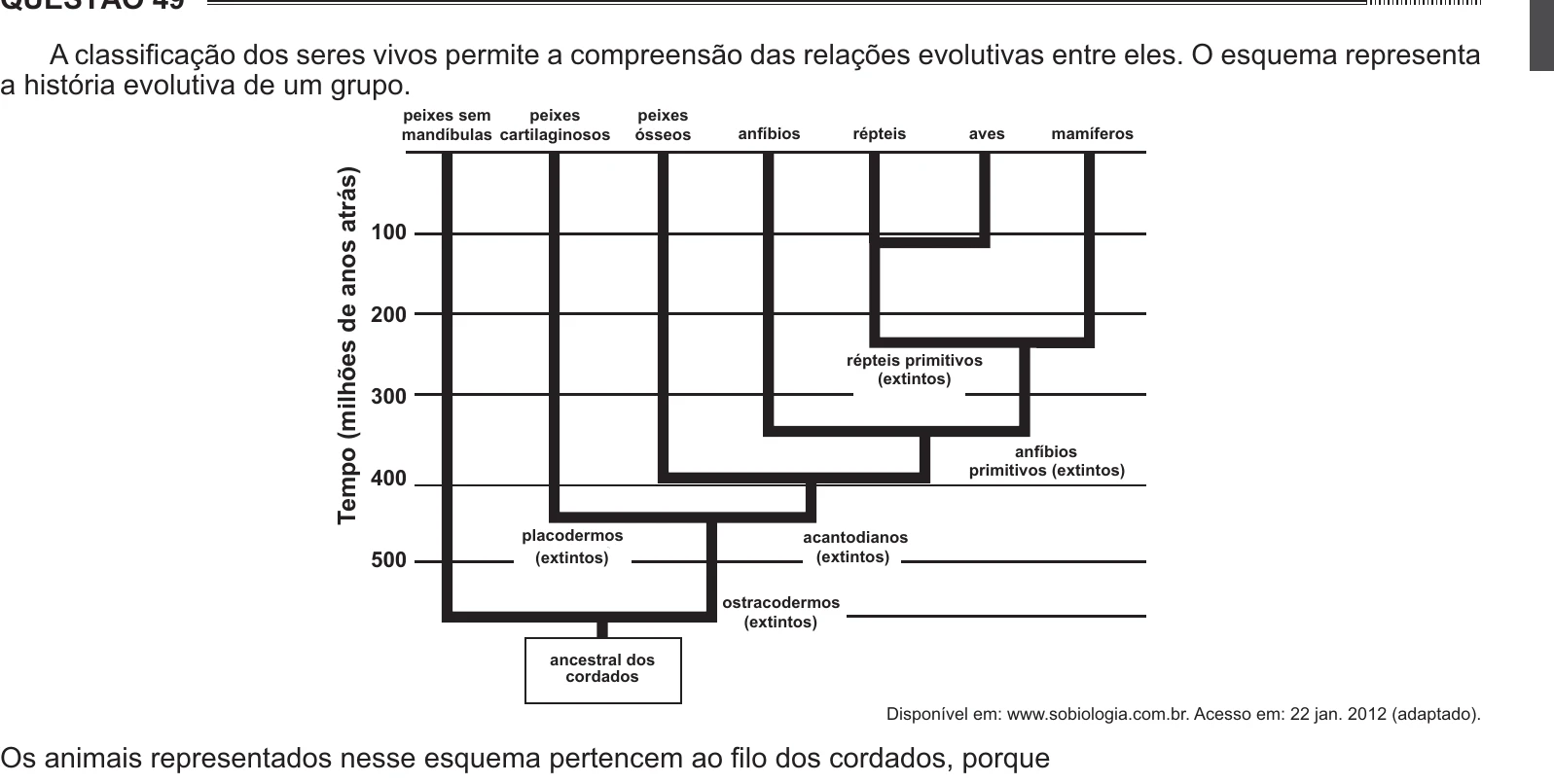 Enunciado original completo da questão 49 do ENEM 2014 - 1º Dia – Caderno 3 – Branco – Reaplicação/PPL, página 17.