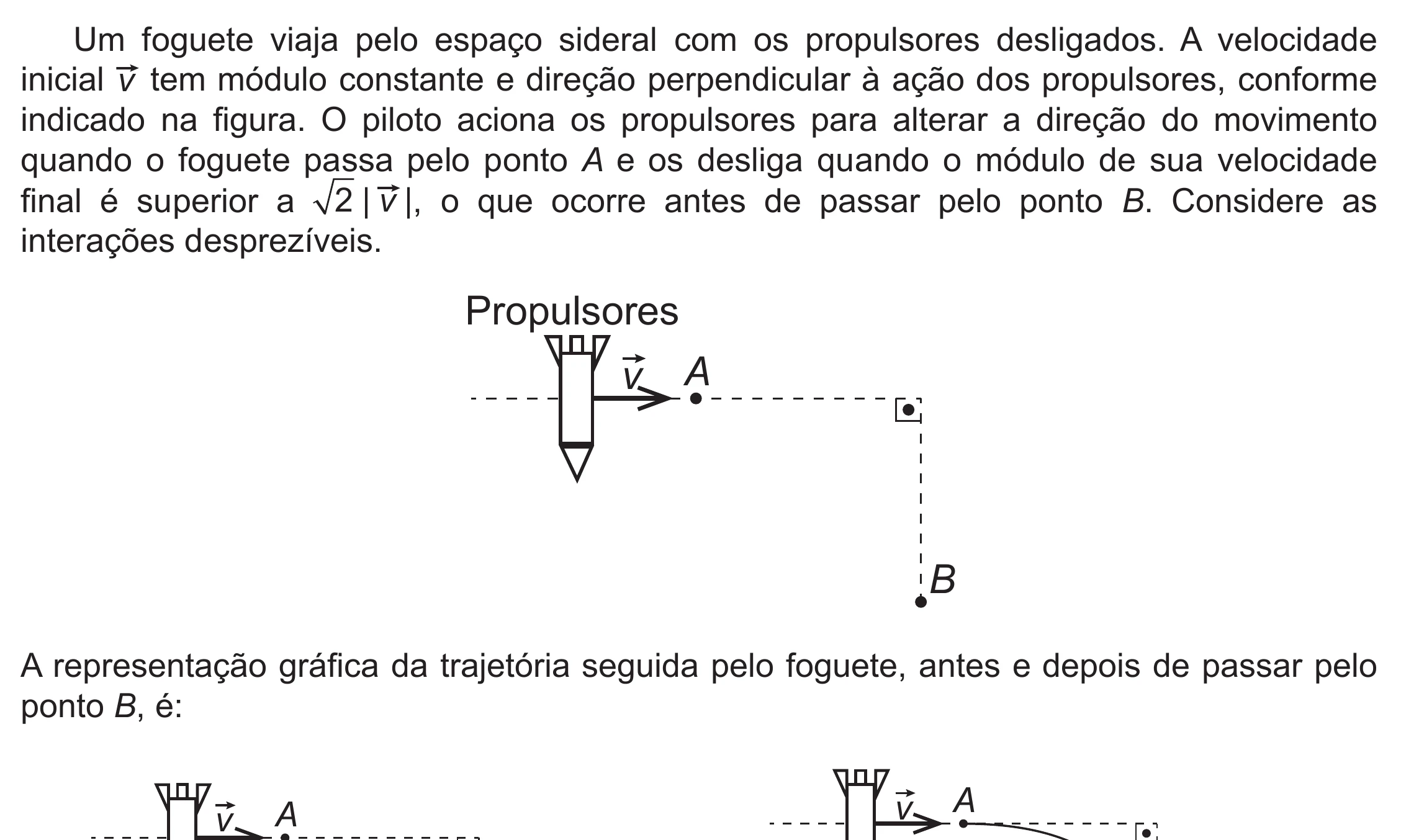Enunciado original completo da questão 109 do ENEM 2019 - 2º Dia – Caderno 5 – Amarelo (Ampliada) – Reaplicação/PPL, página 14.