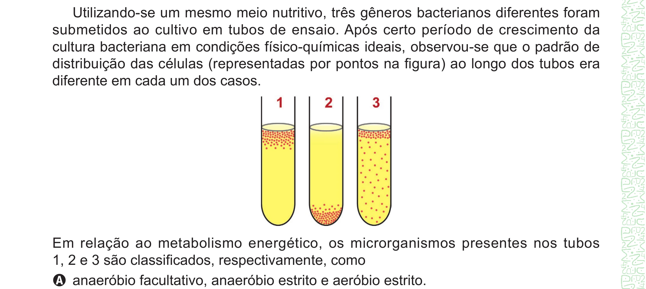 Enunciado original completo da questão 131 do ENEM 2024 - 2º Dia – Caderno 8 – Verde – Aplicação Regular - (Ampliada), página 26.