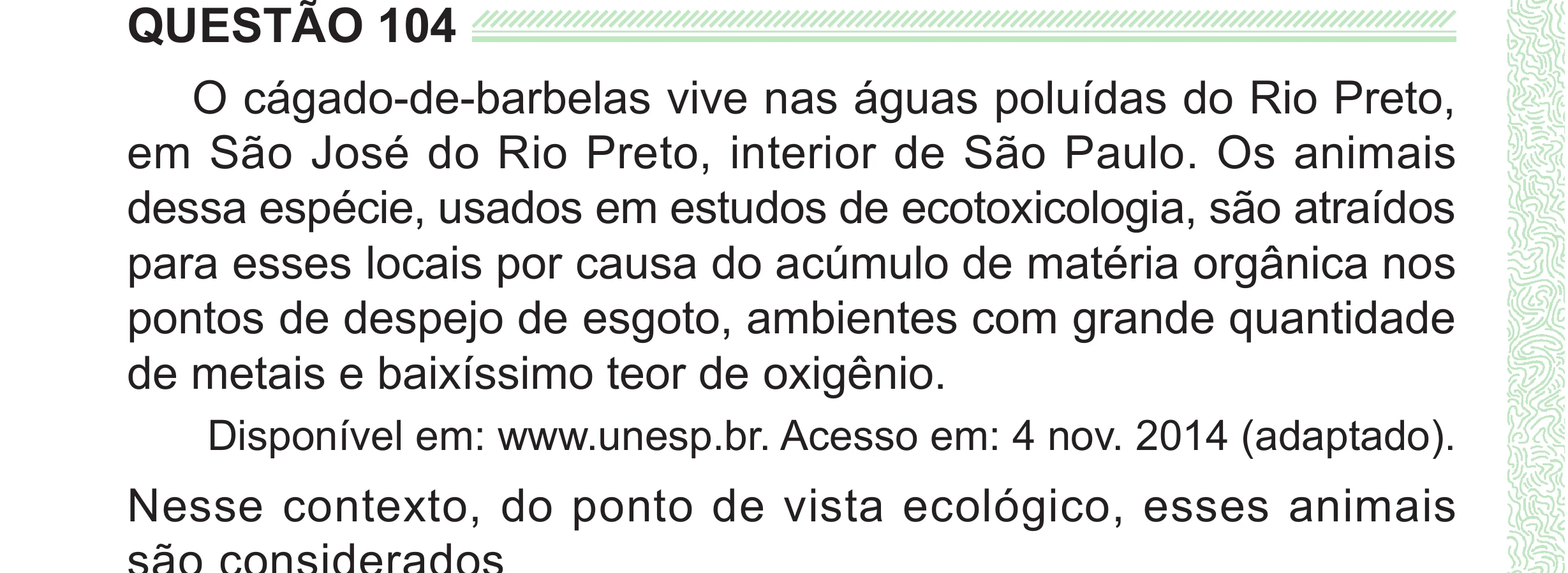 Enunciado original completo da questão 104 do ENEM 2024 - 2º Dia – Caderno 8 – Verde (Superampliada) – Reaplicação/PPL, página 14.