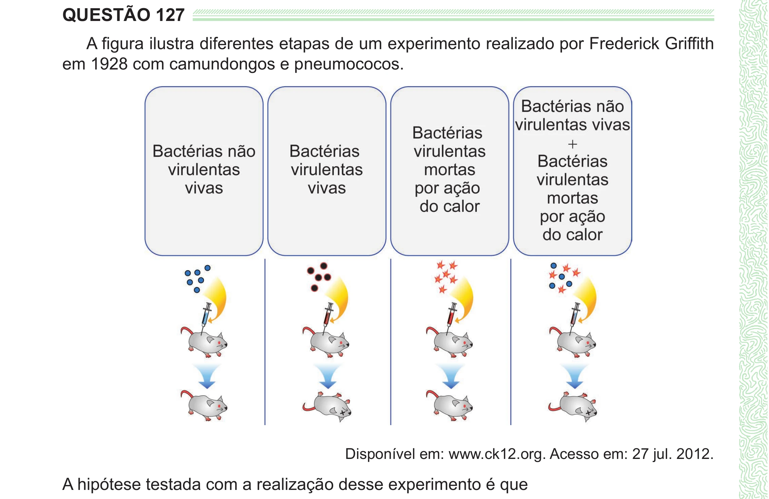 Enunciado original completo da questão 127 do ENEM 2024 - 2º Dia – Caderno 8 – Verde (Ampliada) – Reaplicação/PPL, página 26.