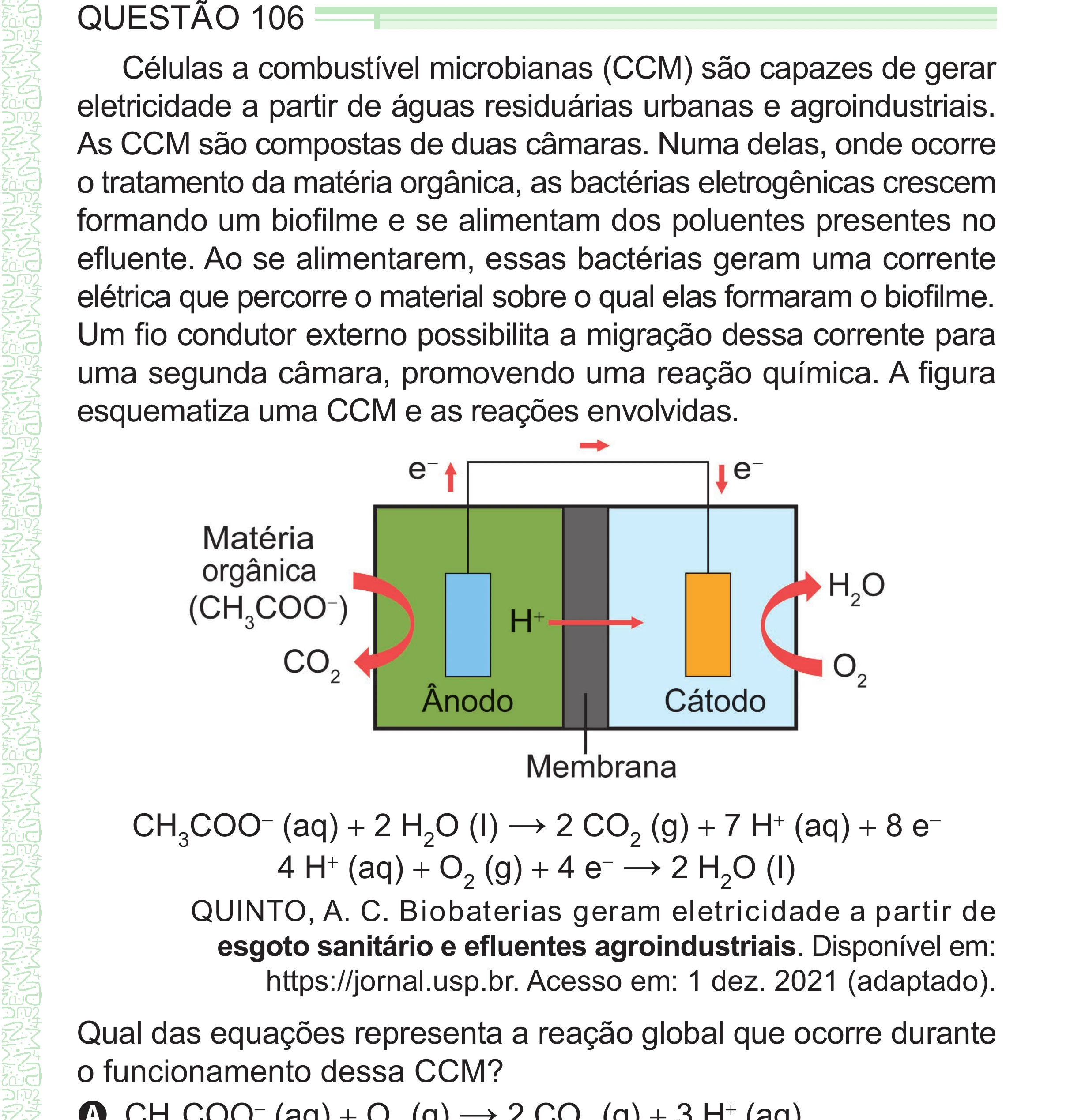 Enunciado original completo da questão 106 do ENEM 2024 - 2º Dia – Caderno 8 – Verde – Aplicação Regular - (Superampliada), página 19.
