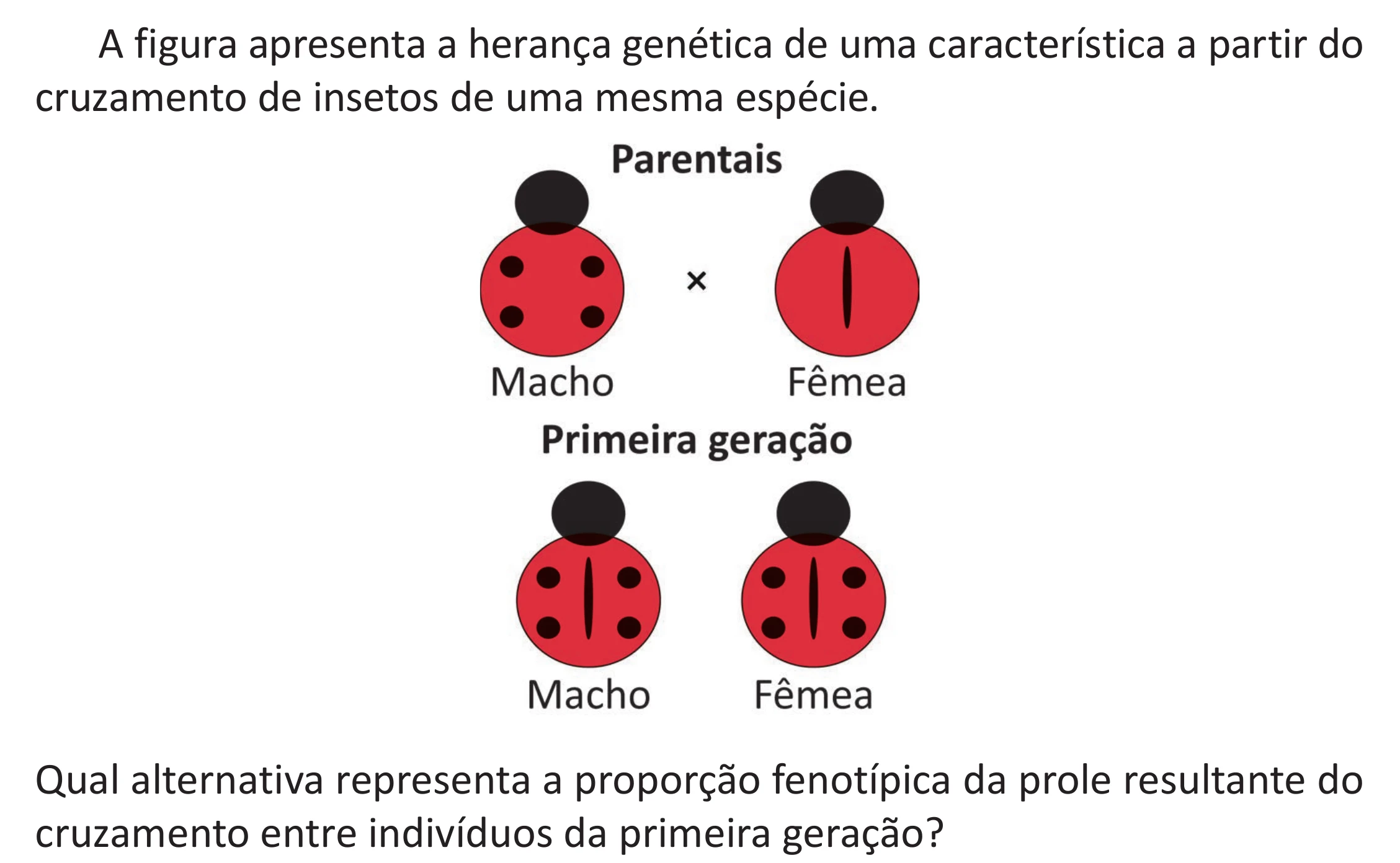 Enunciado original completo da questão 101 do ENEM 2025 - 2º Dia – Caderno 11 – Laranja (Braile e ledor) – Aplicação Regular - (Superampliada), página 12.