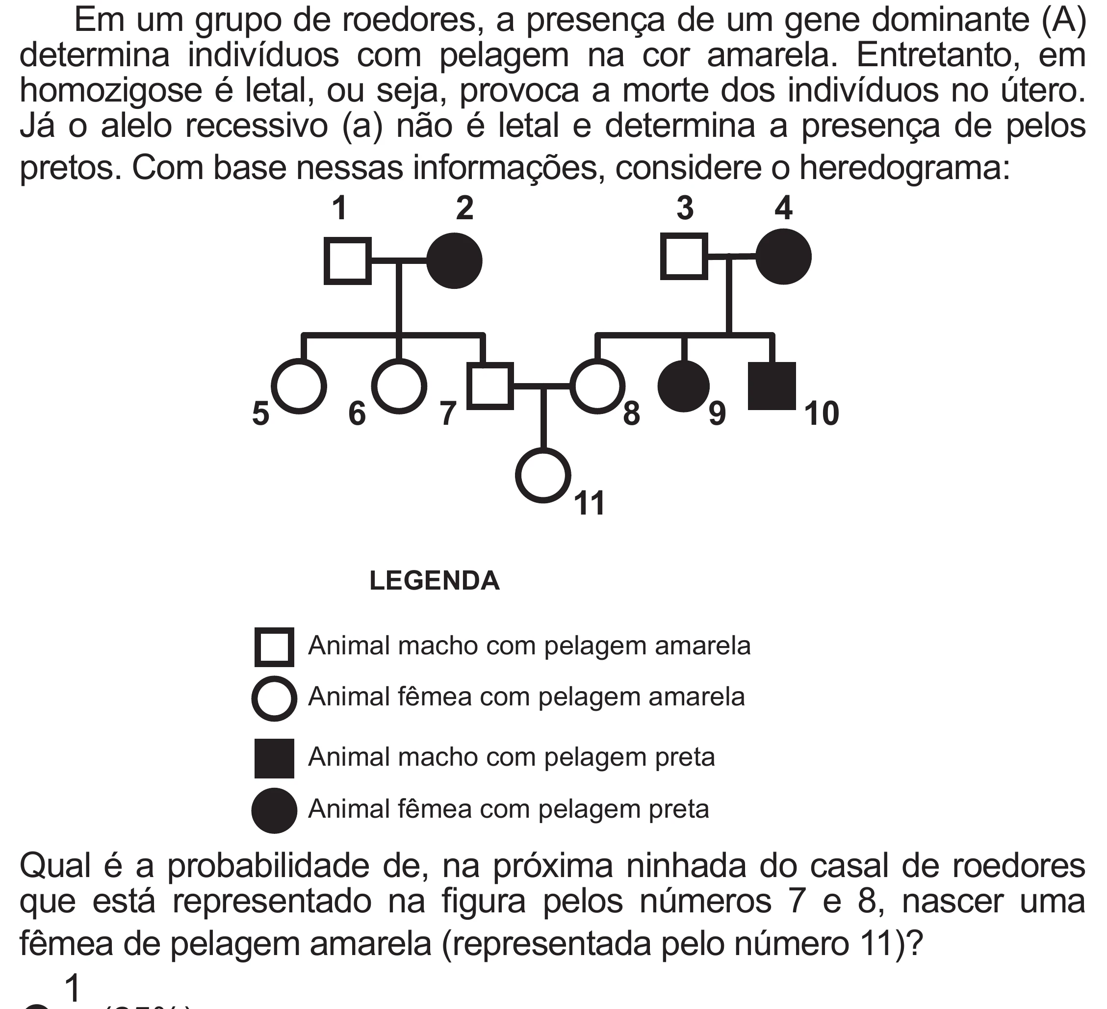 Enunciado original completo da questão 116 do ENEM 2020 - 2º Dia – Caderno 8 – Rosa (Superampliada) – Reaplicação/PPL, página 20.