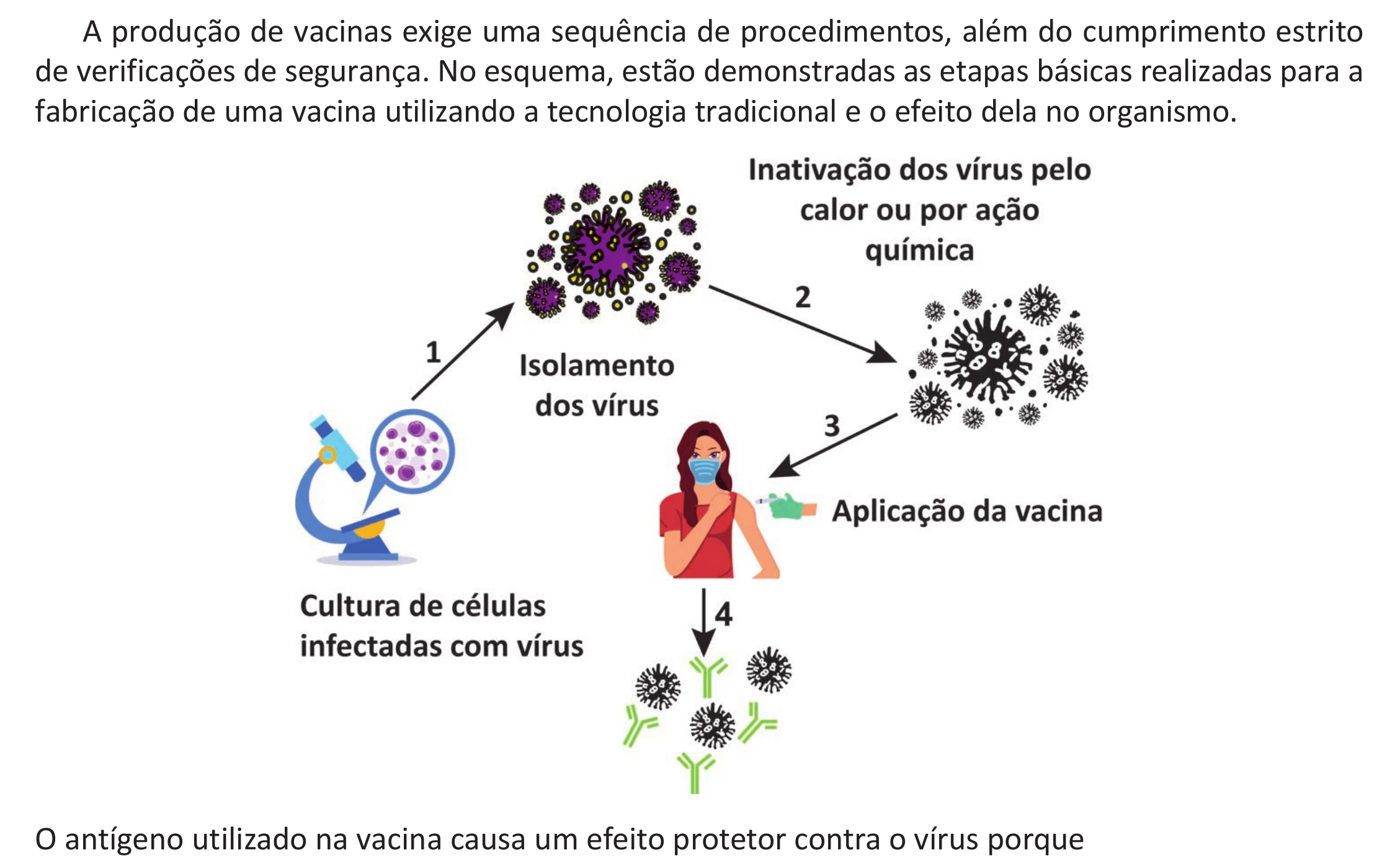 Enunciado original completo da questão 99 do ENEM 2025 - 2º Dia – Caderno 12 – Roxo (Libras) – Aplicação Regular - (Ampliada), página 5.