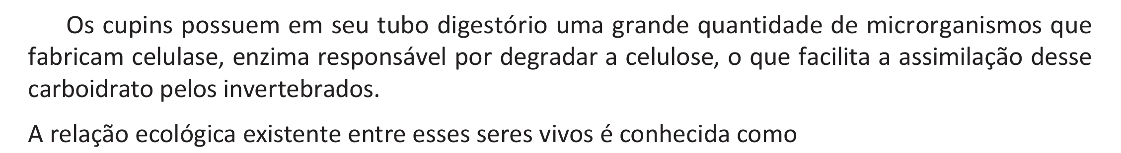 Enunciado original completo da questão 131 do ENEM 2025 - 2º Dia – Caderno 11 – Laranja (Braile e ledor) – Reaplicação - (Ampliada), página 28.