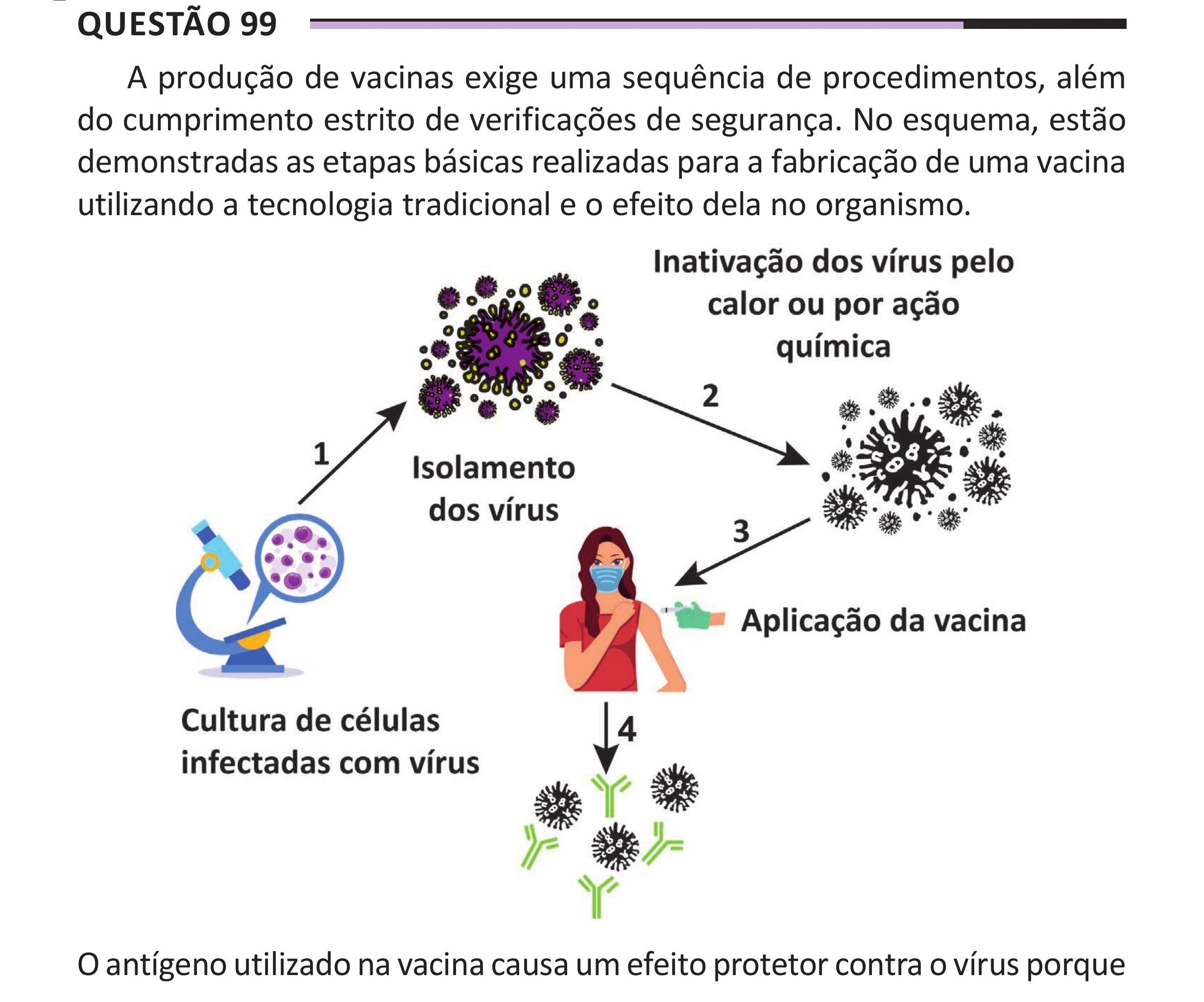 Enunciado original completo da questão 99 do ENEM 2025 - 2º Dia – Caderno 12 – Roxo (Libras) – Aplicação Regular - (Superampliada), página 10.