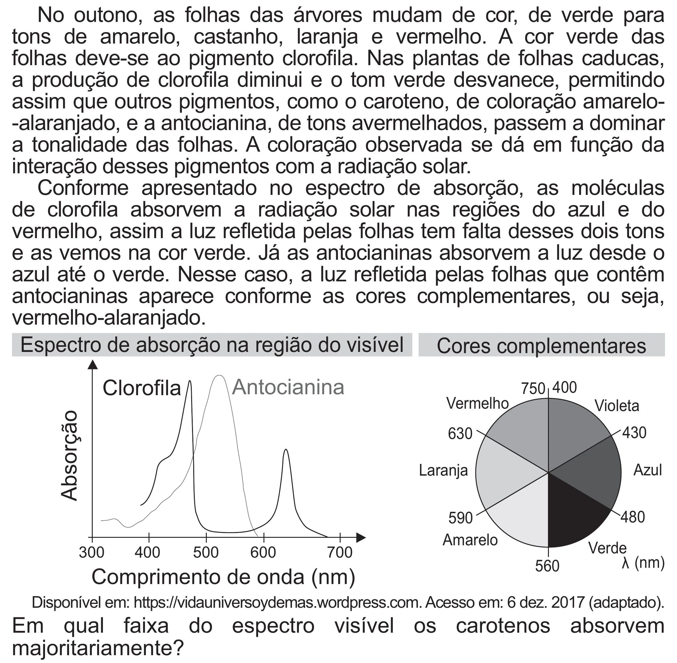 Enunciado original completo da questão 115 do ENEM 2021 - 2º Dia – Caderno 12 – Verde (Libras – Superampliada) – Aplicação Regular, página 25.