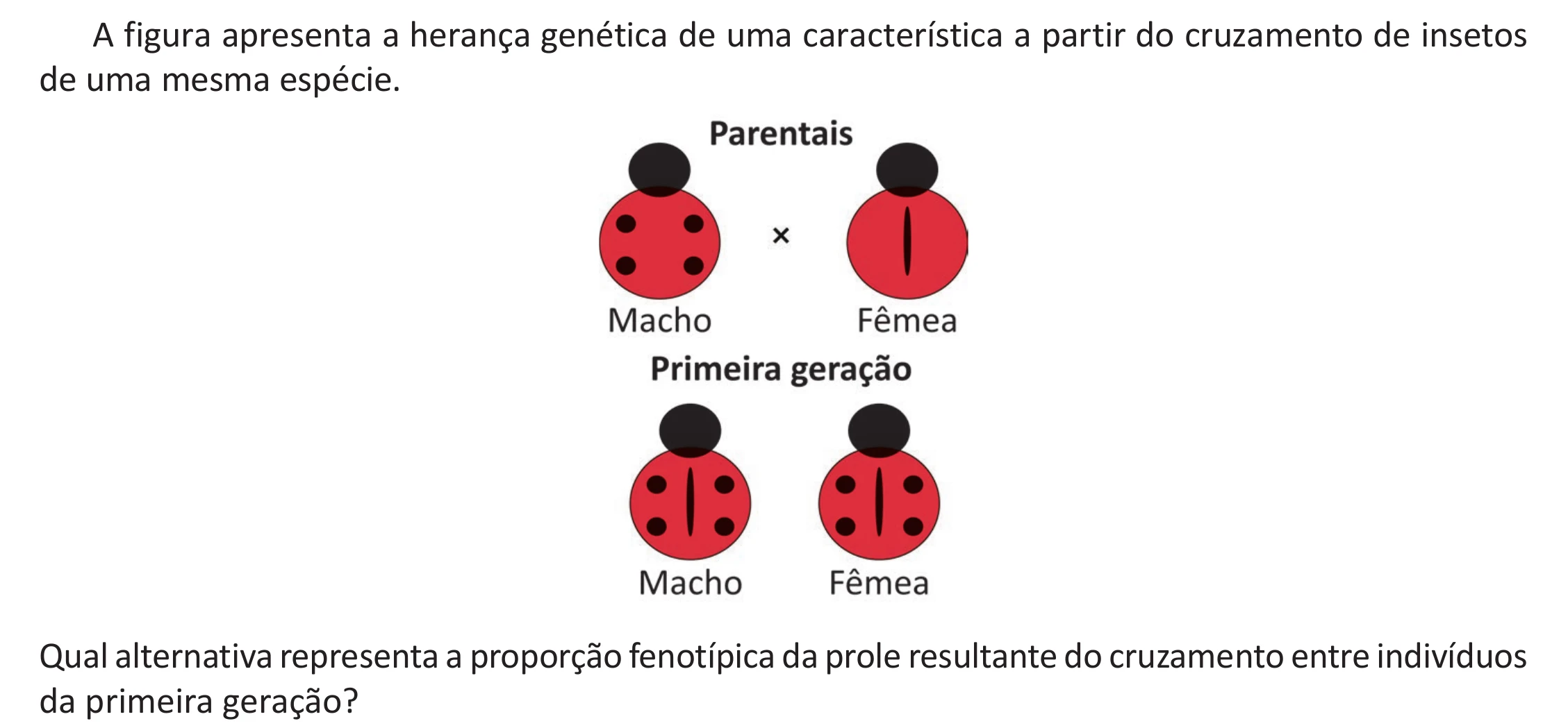 Enunciado original completo da questão 101 do ENEM 2025 - 2º Dia – Caderno 12 – Roxo (Libras) – Aplicação Regular - (Ampliada), página 6.