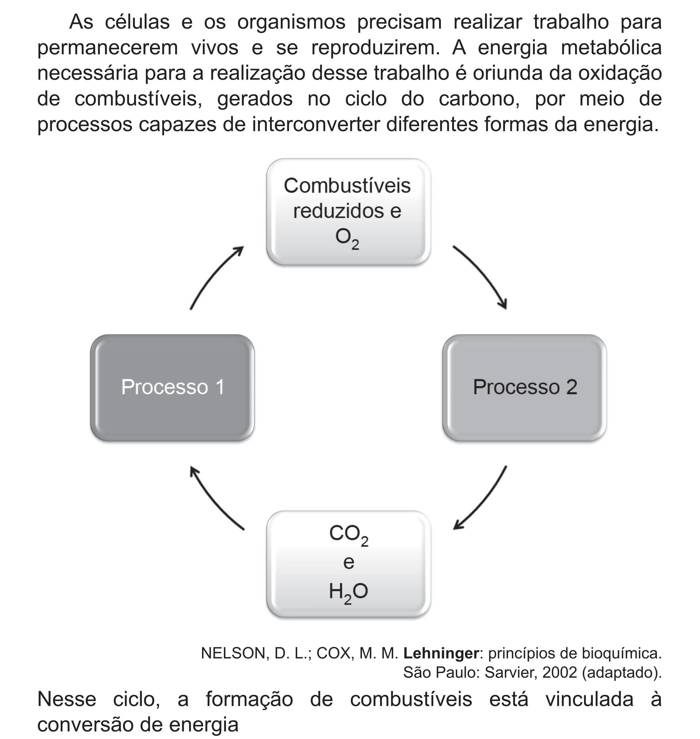 Enunciado original completo da questão 134 do ENEM 2018 - 2º Dia - Caderno 5 – Amarelo (Superampliada) – Aplicação regular, página 40.