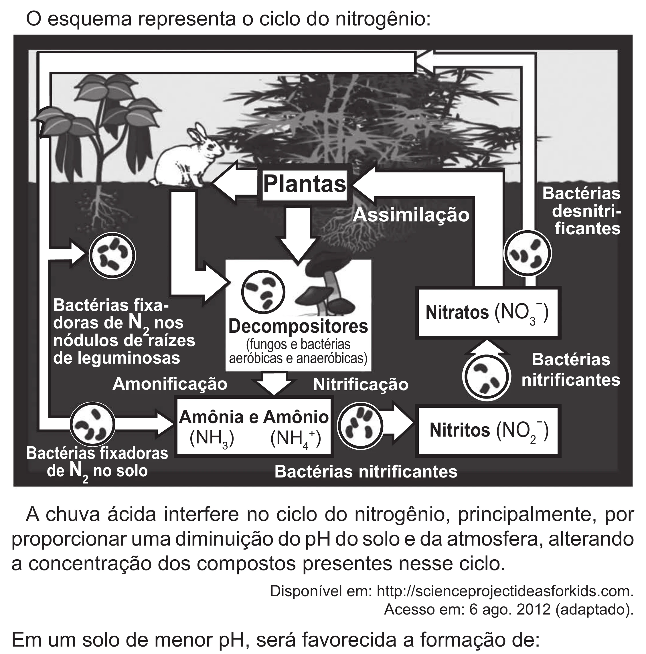 Enunciado original completo da questão 99 do ENEM 2022 - 2º Dia – Caderno 6 – Cinza (Superampliada) – Aplicação Regular, página 10.