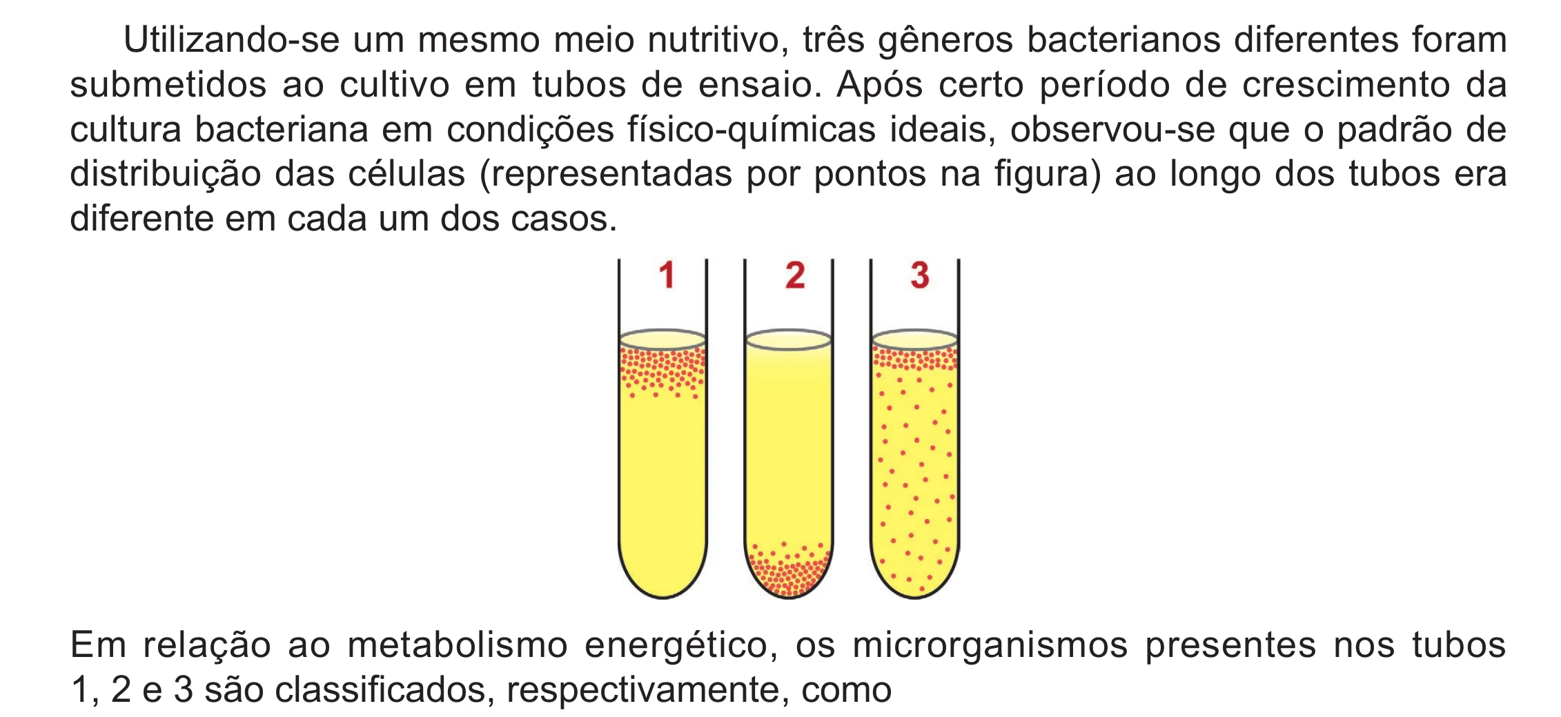 Enunciado original completo da questão 131 do ENEM 2024 - 2º Dia – Caderno 12 – Roxo (Libras) – Aplicação Regular - (Ampliada), página 26.