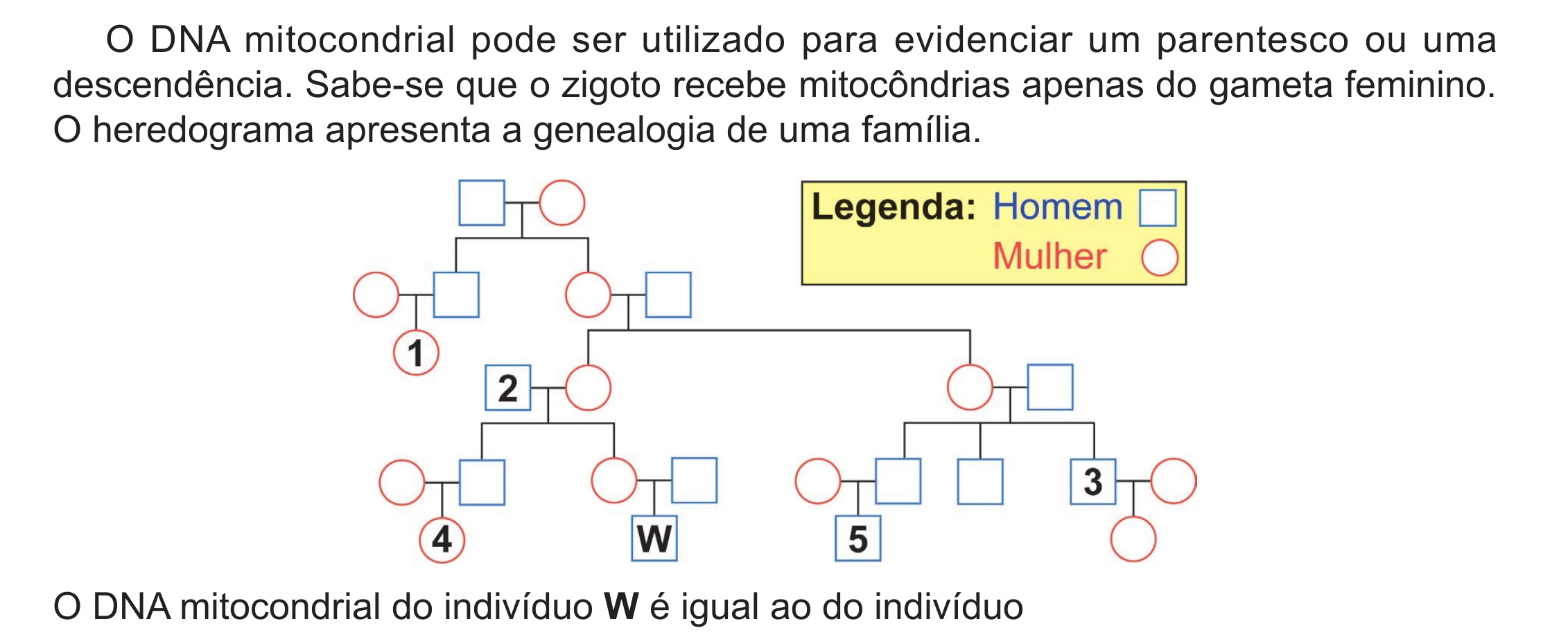 Enunciado original completo da questão 106 do ENEM 2024 - 2º Dia – Caderno 8 – Verde (Ampliada) – Reaplicação/PPL, página 11.