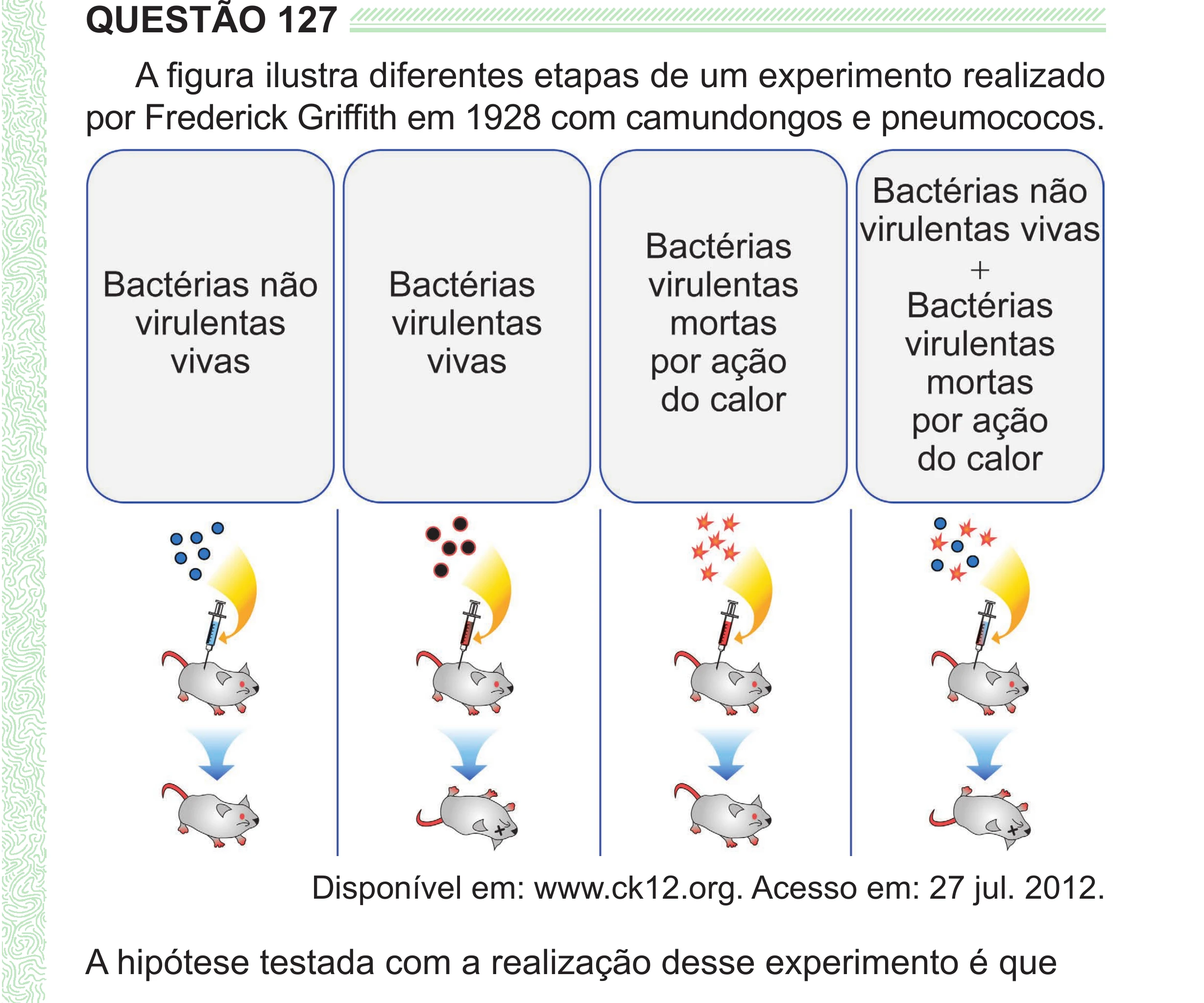 Enunciado original completo da questão 127 do ENEM 2024 - 2º Dia – Caderno 8 – Verde (Superampliada) – Reaplicação/PPL, página 39.