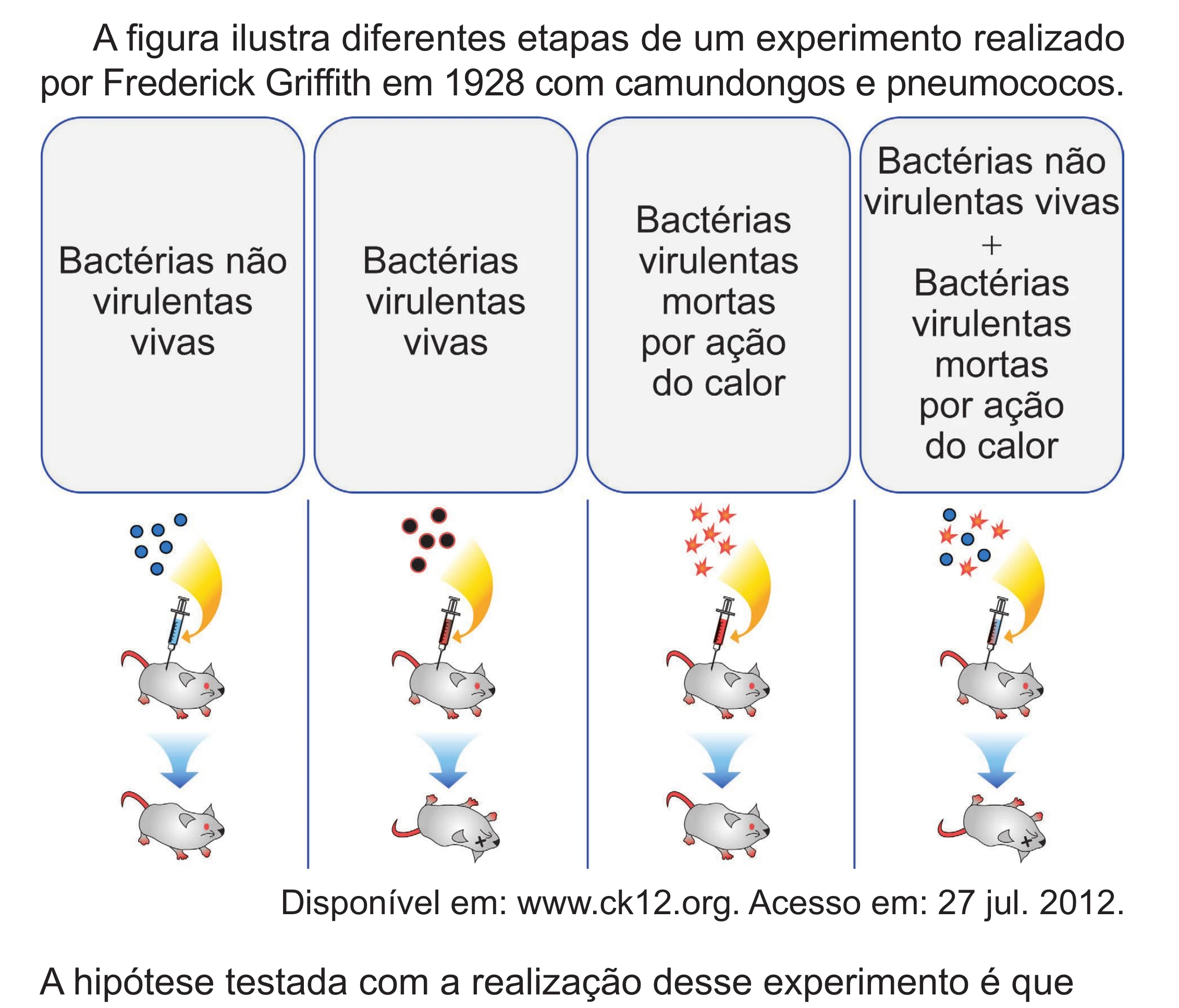 Enunciado original completo da questão 127 do ENEM 2024 - 2º Dia – Caderno 8 – Verde (Superampliada) – Reaplicação/PPL, página 39.