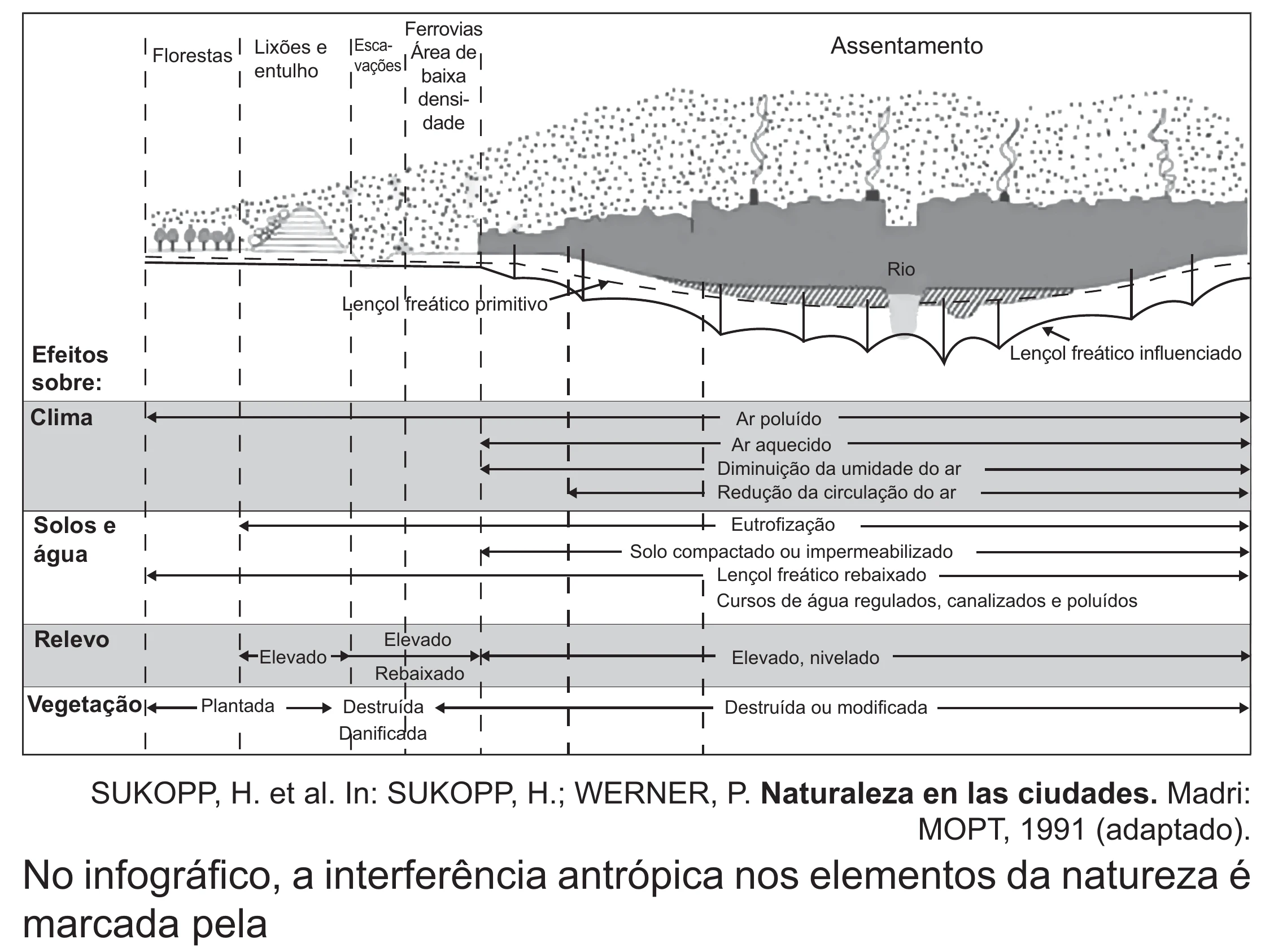 Enunciado original completo da questão 80 do ENEM 2021 - 1º Dia – Caderno 2 – Amarelo (Superampliada) – Reaplicação/PPL/Segunda Oportunidade, página 74.