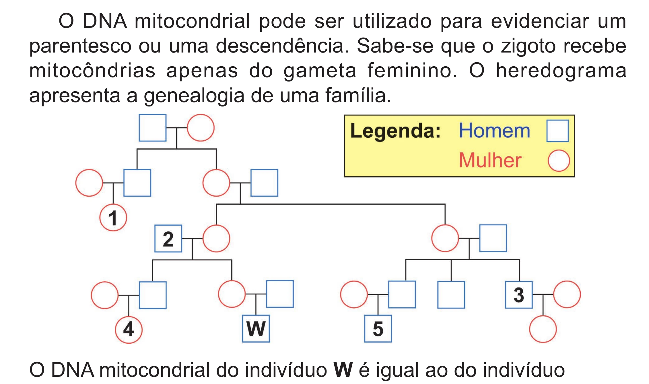Enunciado original completo da questão 106 do ENEM 2024 - 2º Dia – Caderno 8 – Verde (Superampliada) – Reaplicação/PPL, página 16.