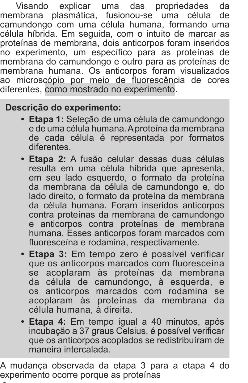 Enunciado original completo da questão 98 do ENEM 2017 - 2º Dia - Caderno 11 – Laranja (Braile e ledor) – Aplicação regular, página 3.
