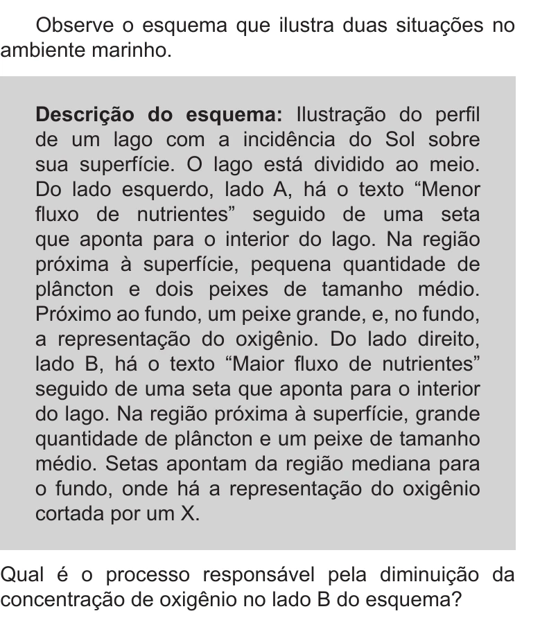 Enunciado original completo da questão 99 do ENEM 2019 - 2º Dia – Caderno 11 – Laranja – Reaplicação/PPL, página 4.