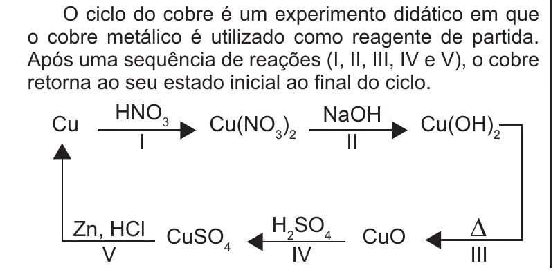 Enunciado original completo da questão 113 do ENEM 2021 - 2º Dia – Caderno 7 – Azul – Aplicação Regular, página 9.