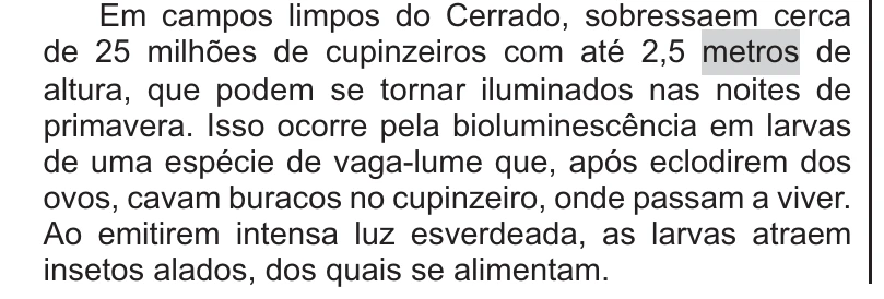 Enunciado original completo da questão 107 do ENEM 2021 - 2º Dia – Caderno 11 – Laranja (braile e ledor) – Reaplicação/PPL/Segunda Oportunidade, página 6.