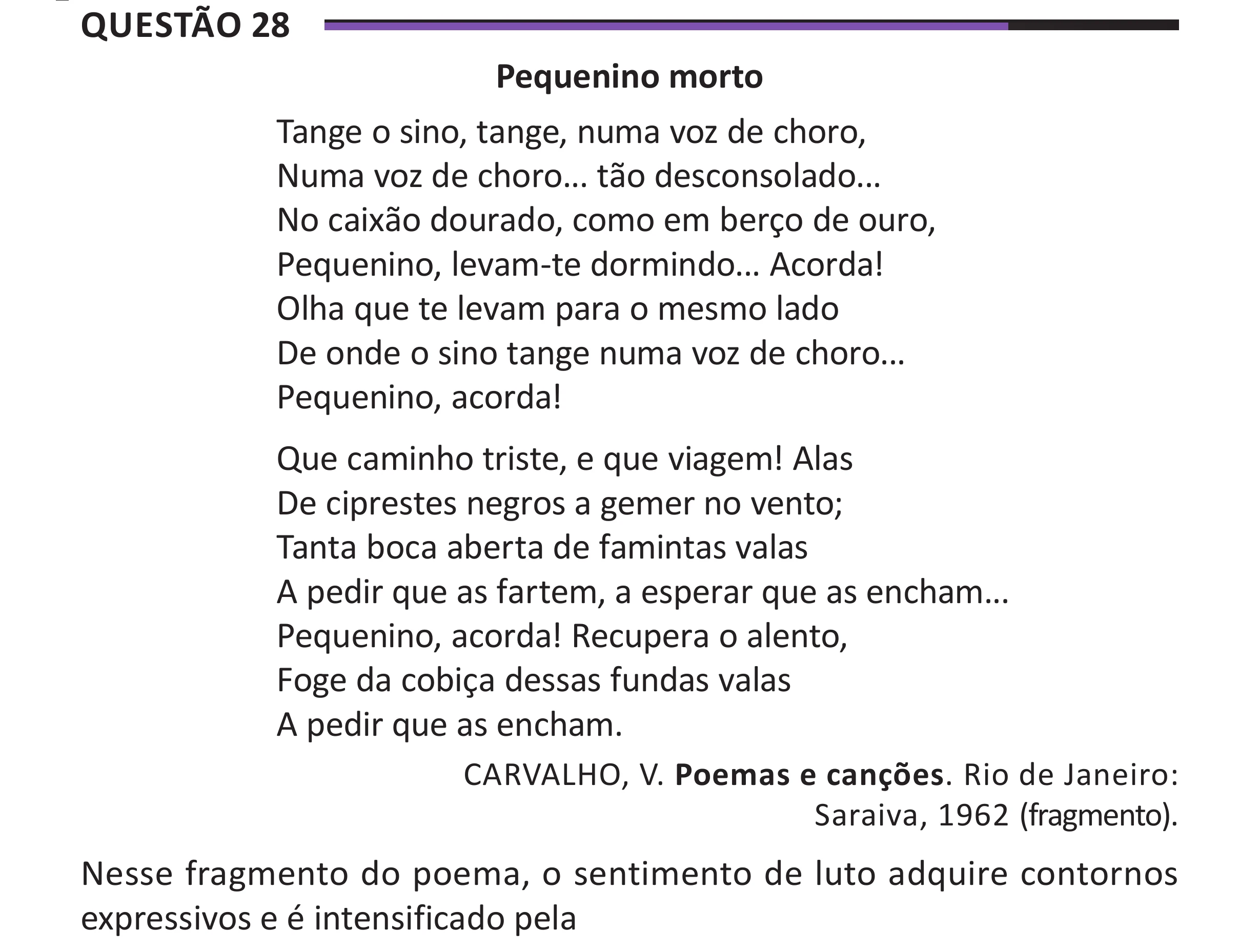 Enunciado original completo da questão 28 do ENEM 2025 - 1º Dia – Caderno 10 – Roxo (Libras) – Aplicação Regular - (Superampliada), página 34.