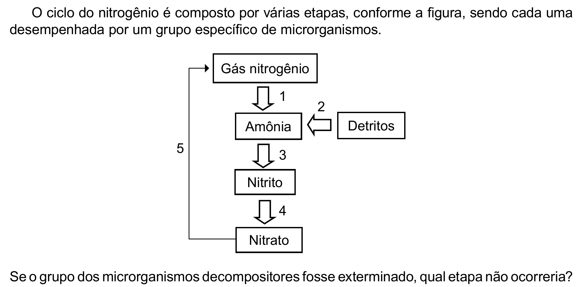 Enunciado original completo da questão 111 do ENEM 2023 - 2º Dia – Caderno 12 – Verde (Libras) – Aplicação Regular - (Ampliada), página 15.