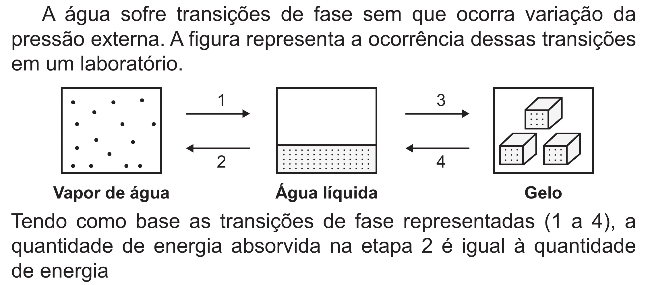 Enunciado original completo da questão 117 do ENEM 2020 - 2º Dia – Caderno 8 – Rosa (Superampliada) – Reaplicação/PPL, página 21.