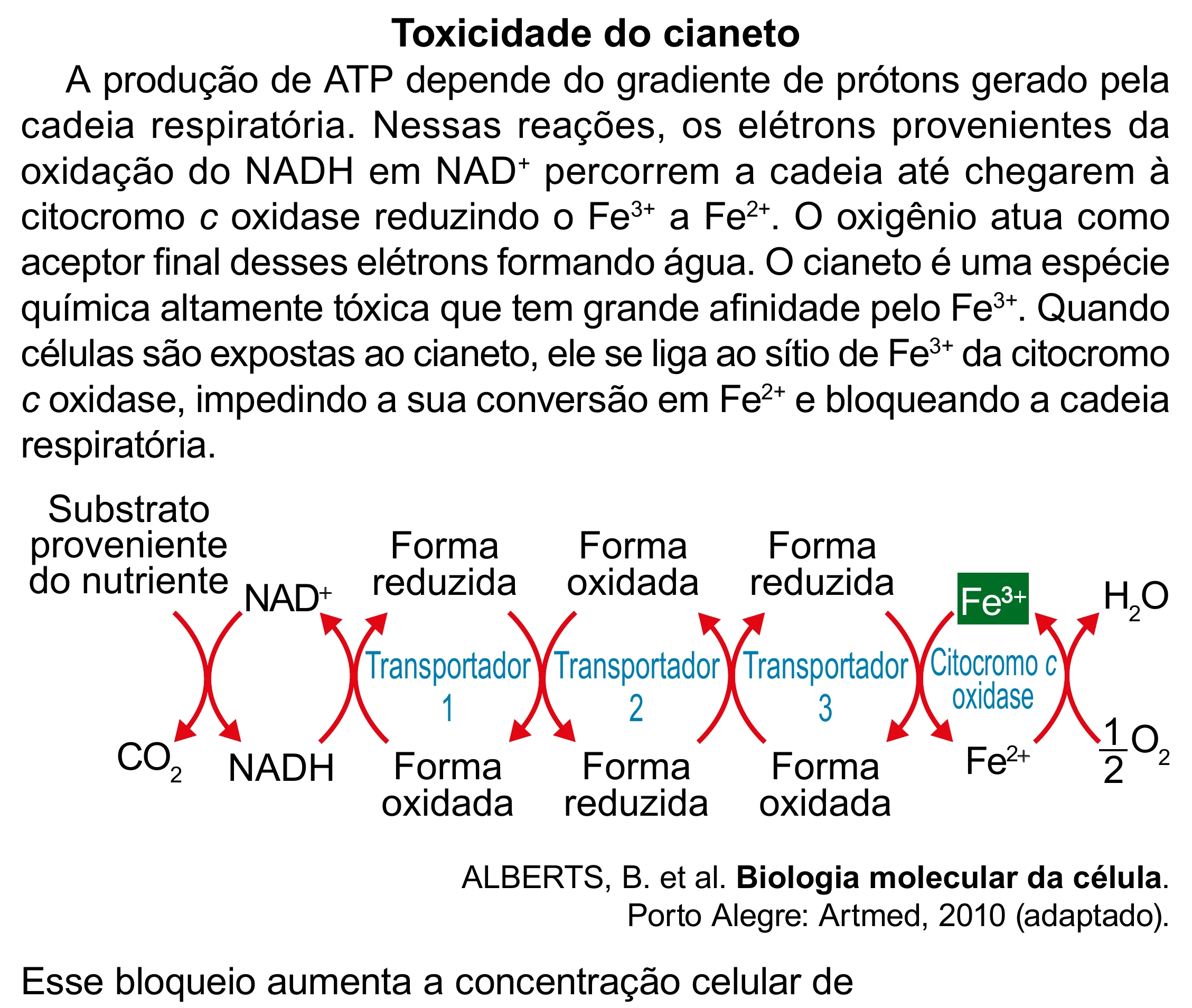 Enunciado original completo da questão 101 do ENEM 2023 - 2º Dia – Caderno 12 – Verde (Libras) – Aplicação Regular - (Superampliada), página 14.