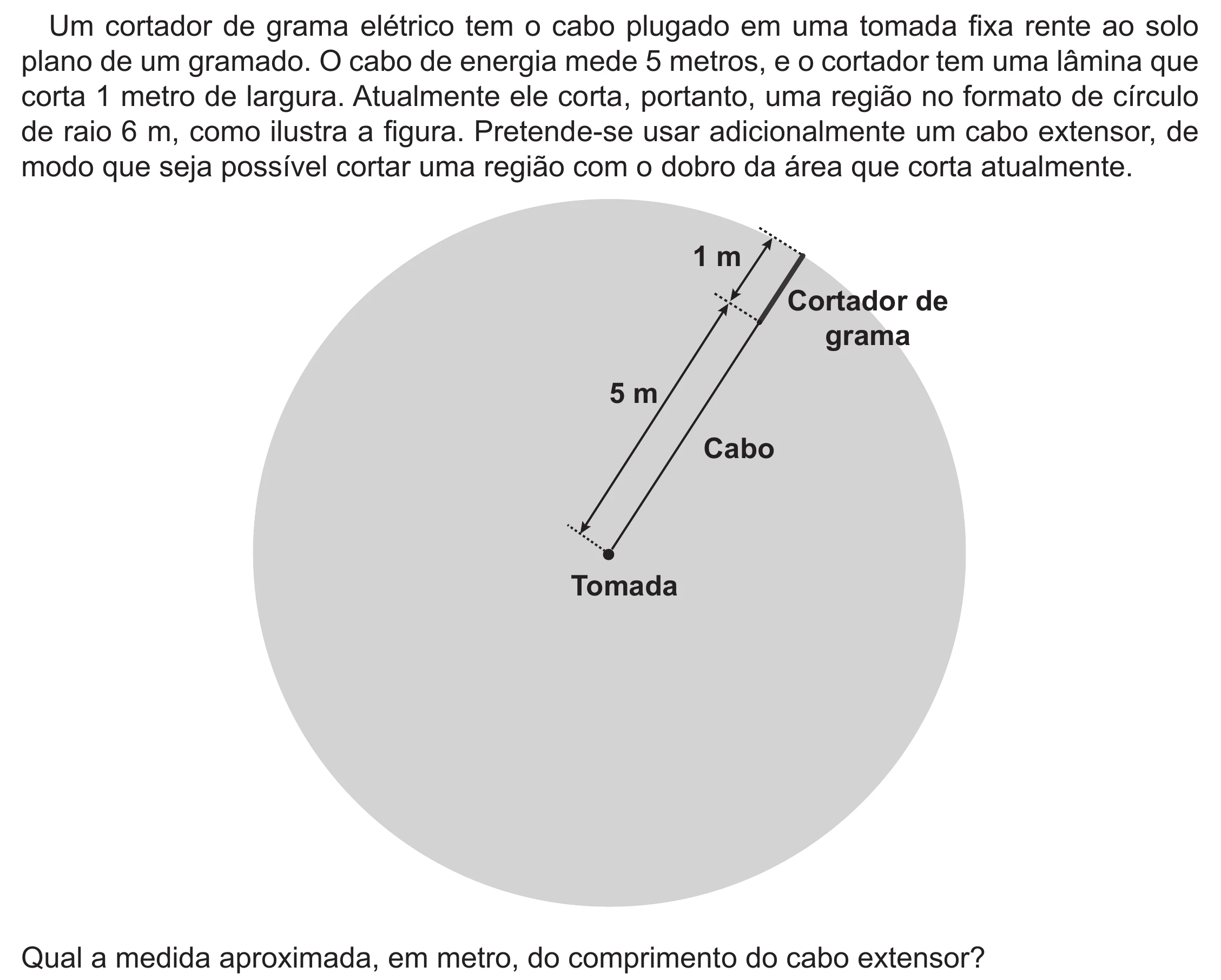 Enunciado original completo da questão 137 do ENEM 2022 - 2º Dia – Caderno 6 – Cinza (Ampliada) – Reaplicação/PPL, página 29.