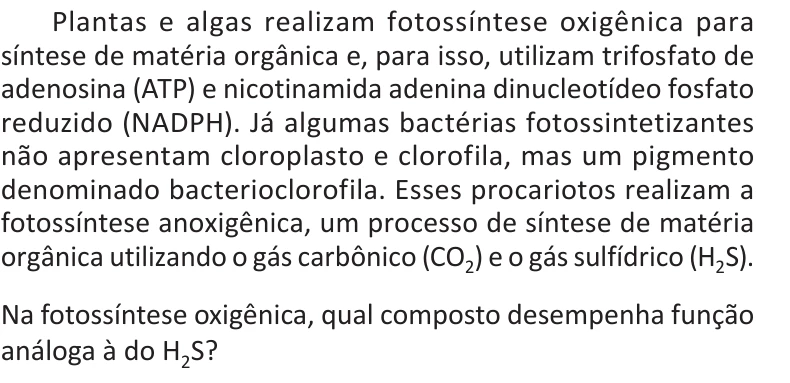 Enunciado original completo da questão 121 do ENEM 2025 - 2º Dia – Caderno 5 – Amarelo – Aplicação Regular, página 11.