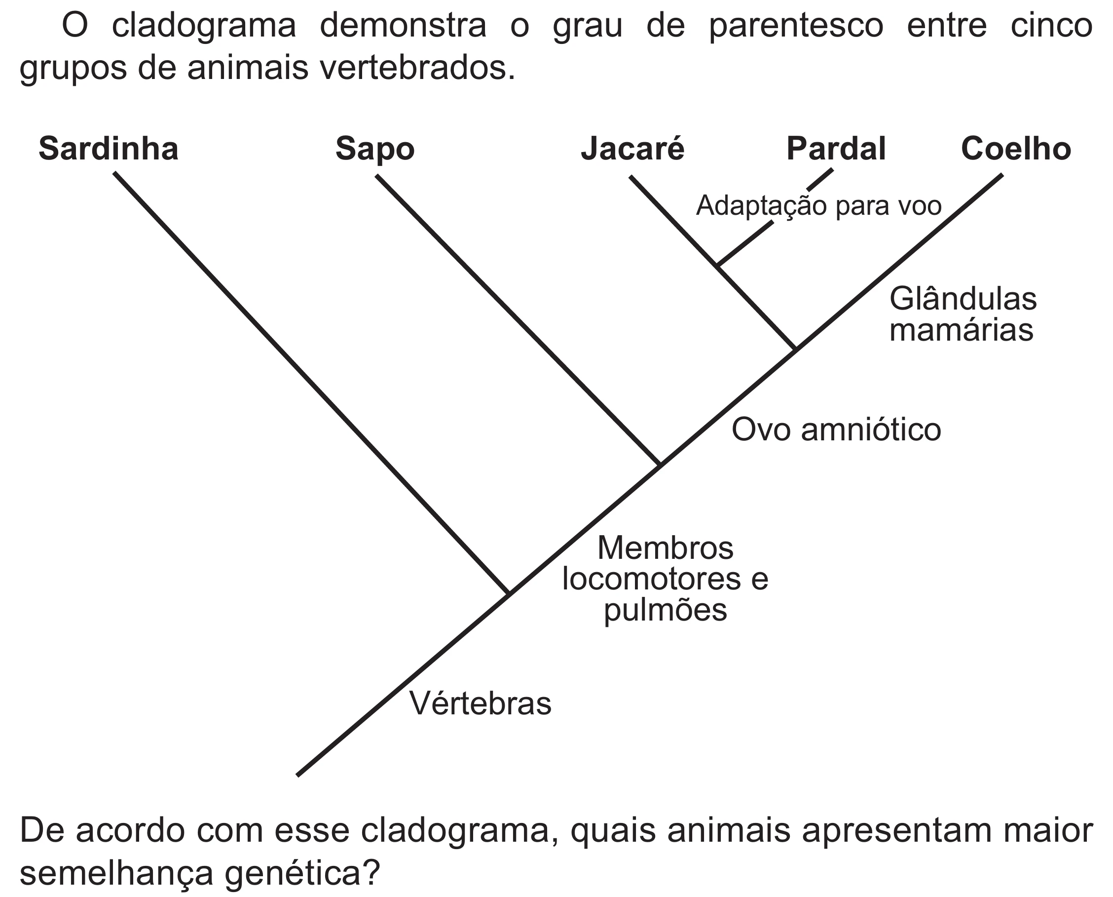 Enunciado original completo da questão 110 do ENEM 2021 - 2º Dia – Caderno 5 – Amarelo (Superampliada) – Reaplicação/PPL/Segunda Oportunidade, página 17.
