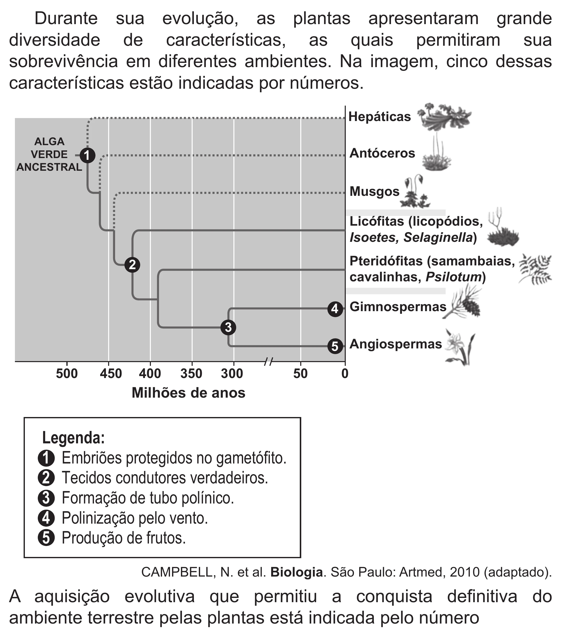 Enunciado original completo da questão 99 do ENEM 2019 - 2º Dia – Caderno 6 – Cinza (Superampliada) – Aplicação Regular, página 11.